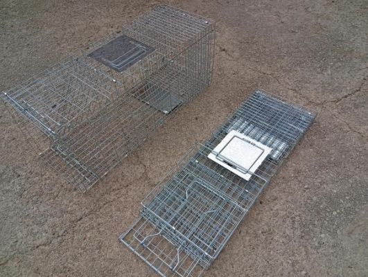 REF. 04.2 Jaula Trampa Gato PLEGABLE